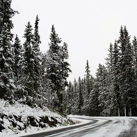 Routes enneigées - glace et neige en automne - Hemsedal, Norvège sur Lars Scheve