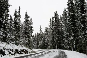 Besneeuwde wegen - ijs en sneeuw in de herfst - Hemsedal, Noorwegen