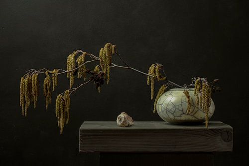 Stilleben 'draußen in'