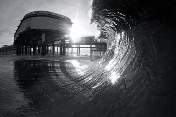 Black Gold Surf Scheveningen