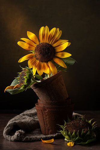 End of Summer by Anoeska Vermeij Fotografie