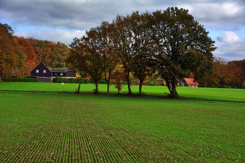 Rural par Edgar Schermaul