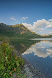 Lago Cadagno op Alp Piora in Ticino Zwitserland van Martin Steiner