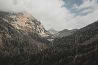 Bergpas in de Julische Alpen van Paulien van der Werf thumbnail