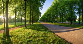 Herrenhäuser Allee sur Leinemeister