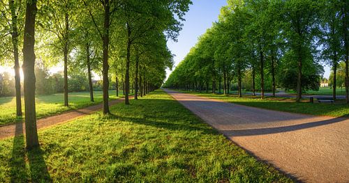 Herrenhäuser Allee
