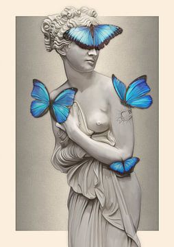 Butterfly Venus by Nettsch .