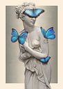 Butterfly Venus von Nettsch . Miniaturansicht