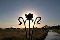 Avondzon door hek