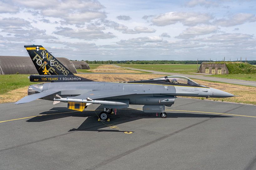 F-16-Jubiläumsfall von 1 SQN &quot;Stingers&quot;. von Jaap van den Berg