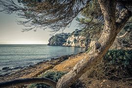 Cala Macarella II