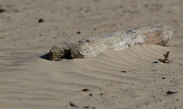 Dunes by Leonie Boverhuis