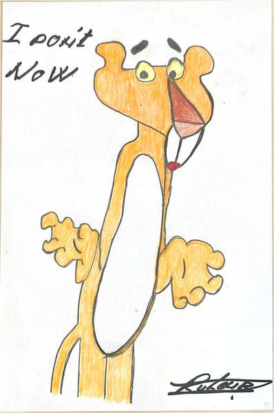 Panther von Robert van Leur