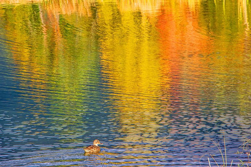 Vert-jaune-orange par Christa Kramer