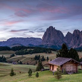 Alpe di Siusi, Zuid-Tirol, Italië van Alexander Ludwig