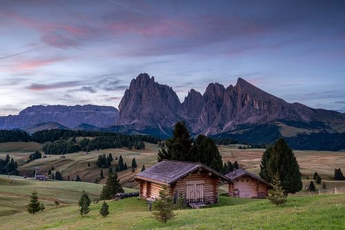Alpe di Siusi, Zuid-Tirol, Italië