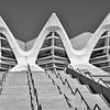 Palau des Artes in Valencia van Jan Radstake