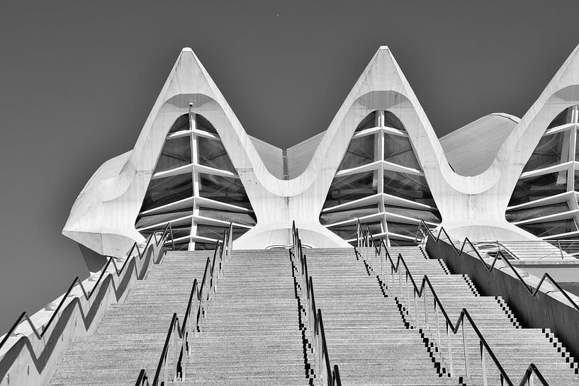 Palau des Artes in Valencia von Jan Radstake