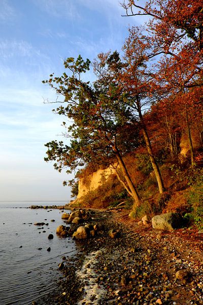 Schöne Boddenküste von Ostsee Bilder