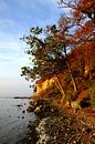 Schöne Boddenküste von Ostsee Bilder Miniaturansicht