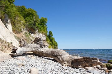 Krijtkust, Strand , Nationaal Park Jasmund, Sassnitz, R�geneiland, Mecklenburg-Voor-Pommeren, Duitsl