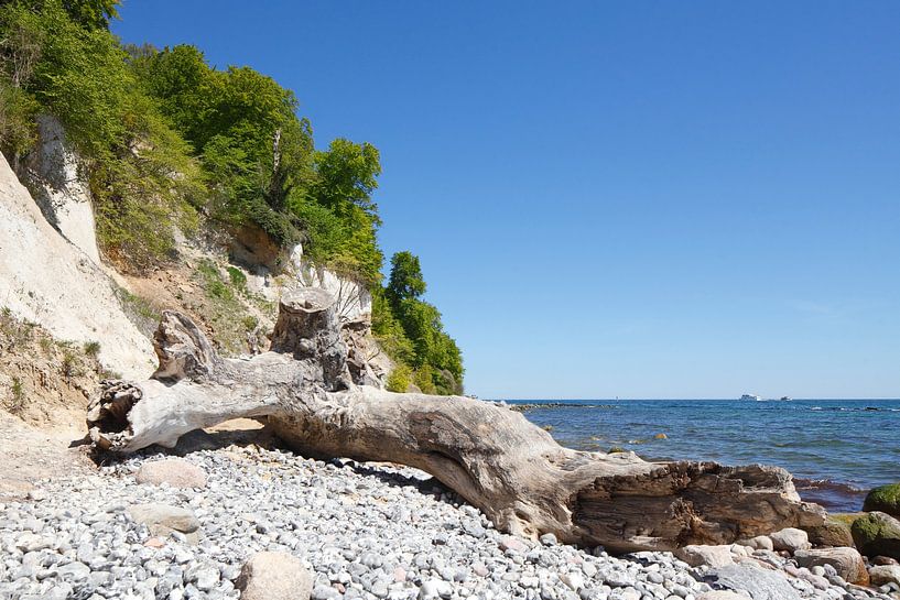 Chalk Coast, Beach , Jasmund National Park, Sassnitz, R�gen Island, Mecklenburg-Western Pomerania, G by Torsten Krüger