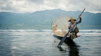 Vissen in het Inle meer