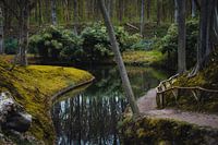 Along the river