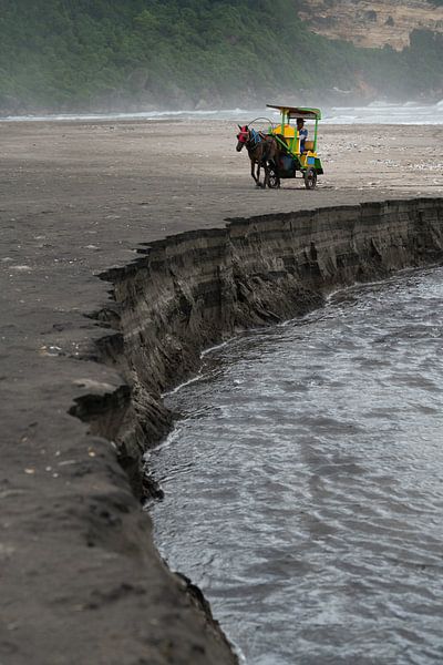 Eine Pferdekutsche am Strand von Gunung Kidul von Anges van der Logt