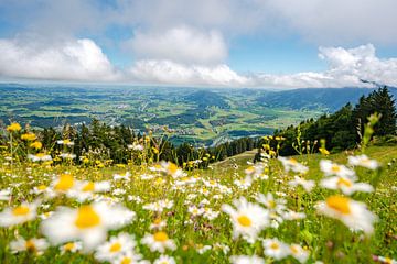 Flowery view of the Oberallgäu and the low-lying clouds by Leo Schindzielorz