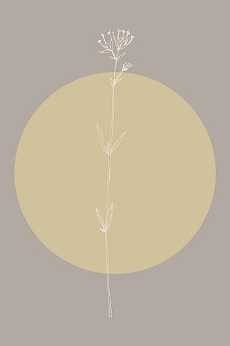 Japandi. Boho botanische bloem in goud en taupe nr. 3