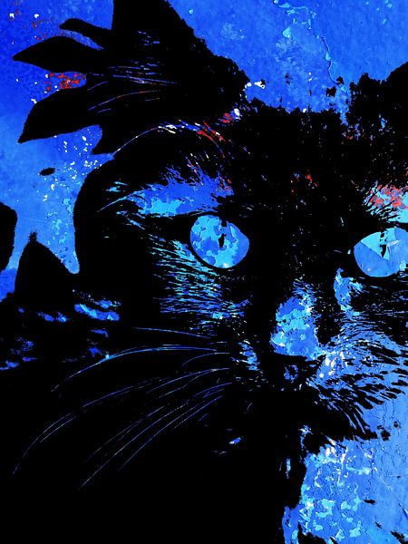 Kattenkunst - Storm 3 van MoArt (Maurice Heuts)