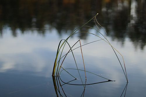 Leise Anlage