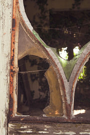 A brief glimpse by Marlies Hemminga