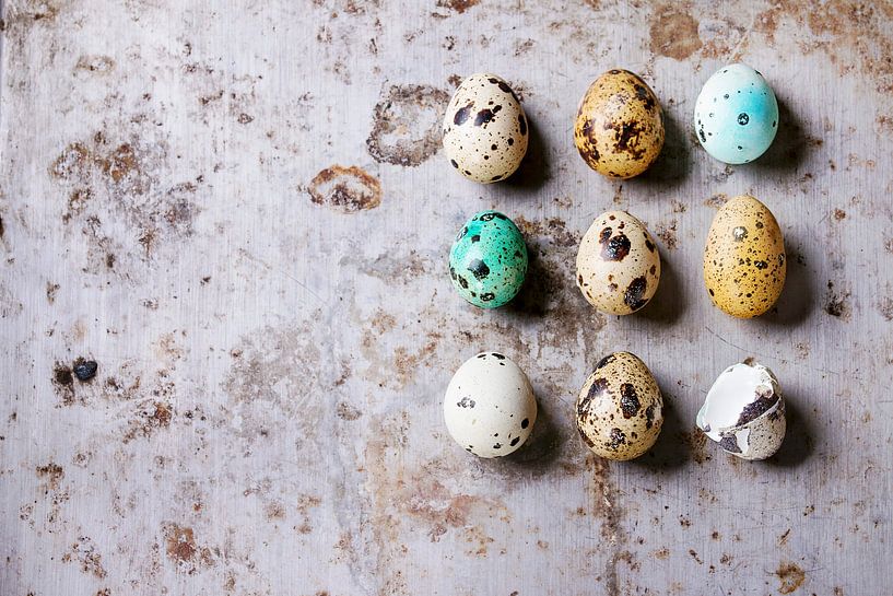 Gekleurde Kwarteleitjes  in raster op metaalkleurige achtergrond van BeeldigBeeld Food & Lifestyle