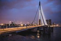 City of Rotterdam: Erasmusburg by light
