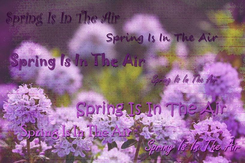 Spring is in the air von Kiezel Fotografie