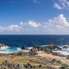 Natural Pool Conchi Aruba van Harold van den Hurk