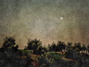 Vollmond über Olivenhainen bei Sonnenaufgang