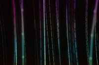 licht 
