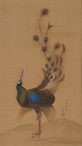 Vintage Chinese Peacock on Painted Silk look