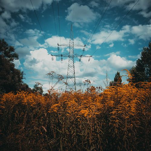 Kleuren landschapsfotografie