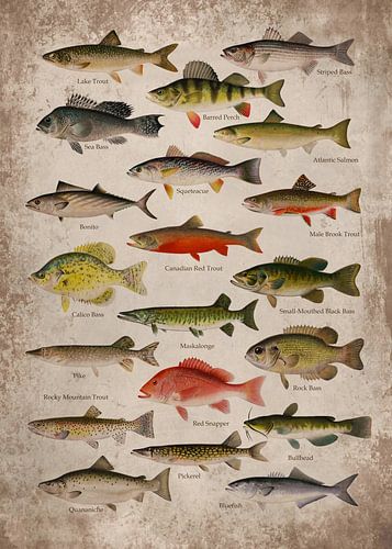 Vintage Fish