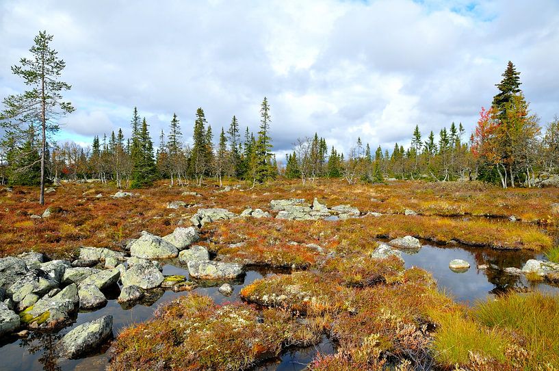 Schweden von Karin Jähne
