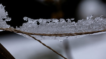 Frost prevents the snow from thawing