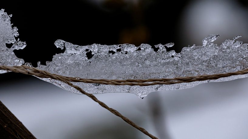 Vorst voorkomt dat de sneeuw dooit van Harald Schottner