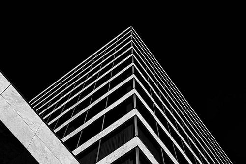 Le Landdrost d'Almere dans un contraste de noir et de blanc.