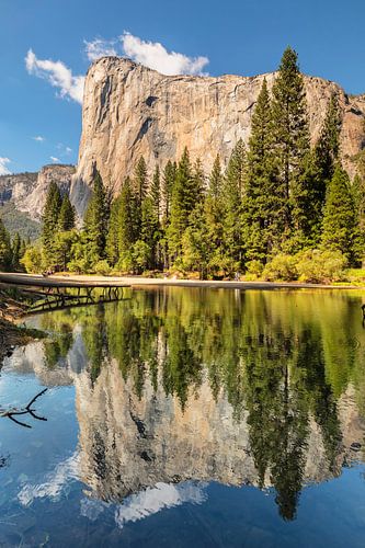 El Capitan reflected in the Merced River, Yosemite National Park, California, USA