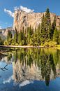 El Capitan spiegelt sich im Merced River, Yosemite-Nationalpark, Kalifornien, USA von Markus Lange Miniaturansicht