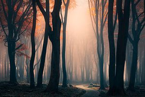 La foret rouge dans le brouillard du Speulderbos